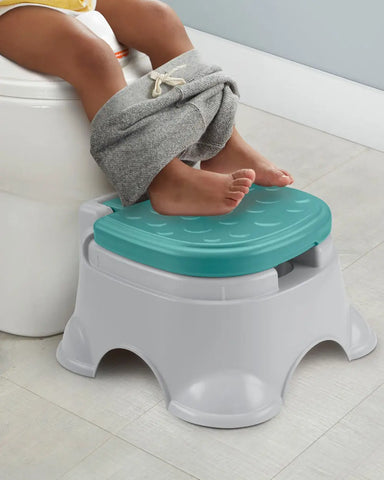 Fisher Price 3 In 1 Potty Chair-Potty Training & Step Stool-With Splash Guard-6 To 24M-Grey & Green Baby Bamboo