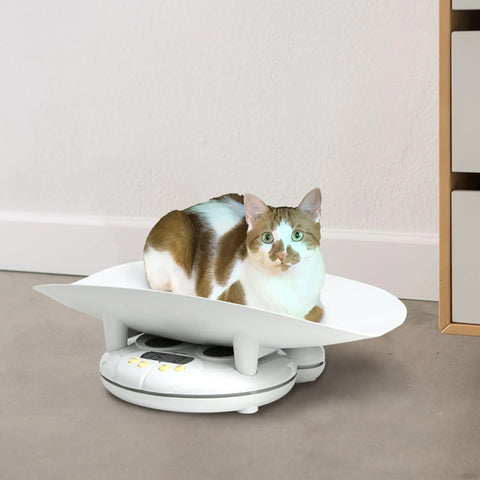 Salter Baby 3-in-1 Function Designed for Infants,Toddlers and Pets,White Baby Bamboo